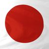 Online Stores Japan Printed Polyester Flag, 3 by 5-Feet,Red, White