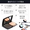 Hide Gray Hair Foundation with Puff, Refine for Women and Men (Refill)