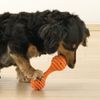 Richell Glue Bend S Orange