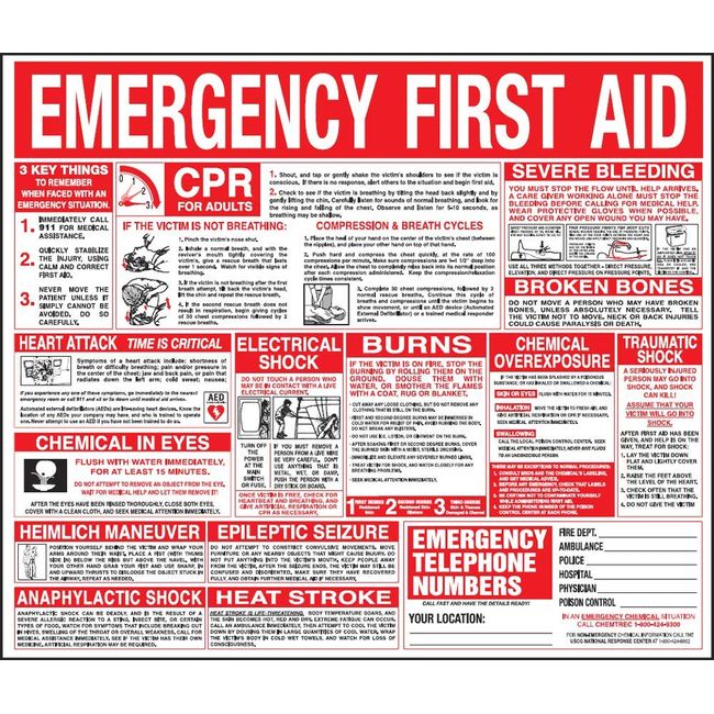 First Aid Wall Chart 22x26 - EveryMarket