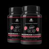 Lions Mane Reishi Chaga Mushroom Gummies Immunity Brain Function Memory 3 Pack
