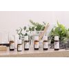 Cypress 30ml NATURELLE NATURELLE Essential Oil