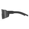 Scott Shield Sunglasses, black