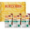 Burt's Bees Lip Balm Rescue Lip Relief - Relieves Extremely Dry Lips with Moisturizing Shea Butter & Echinacea, 100% Natural Origin (3 pack)