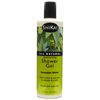 ShiKai Moisturizing Shower Gel - Cucumber/Melon, 12 oz ( 2 Pack )