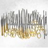German Gold 22 Pcs General Surgery Spay Pack Surgical Dental Instruments Kit