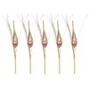 5 Pack 20" Champagne Peacock Feather Glitter Pick Spray with Pink Feather