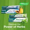 Himalaya Herbals Mint Toothpaste with Active Ingredients - 75ml