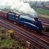 Mallard Train Greeting Sound Card by Really Wild Card