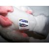 TY Serenity the Dove Beanie Baby