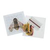 Trimits Mini Counted Cross Stitch Kits, 13 x 13cm (5 x 5in), Bee