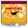 TURMERIC ROOT Tumeric Raw Fresh Ground Curcumin Longa 100 Vegetarian Capsules