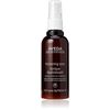 AVEDA Thickening Tonic, 3.4 Ounce, ()