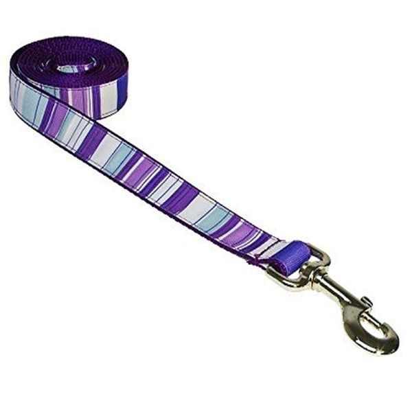 Medium Purple/Multi Stripe Dog Leash: 3/4" wide, 6ft length - Made in USA.