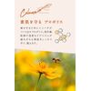 Argital Propolis Cream 50 ml