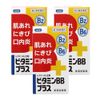 【第3類医薬品】ビタミンBBプラス「クニヒロ」 250錠 ×3