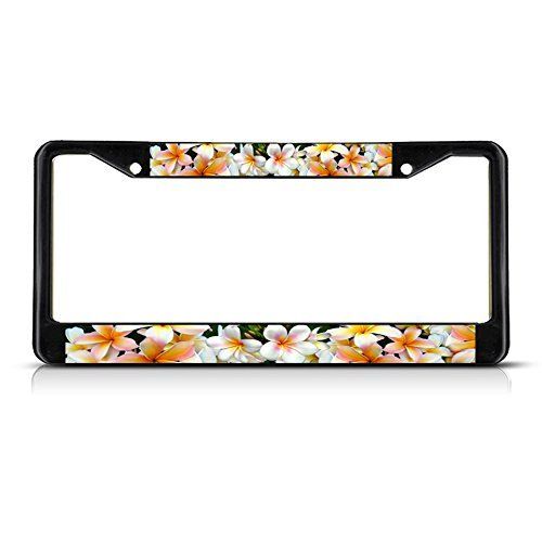 Fastasticdeals Plumeria Flowers License Plate Frame Tag Holder Cover