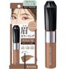 Heavy Rotation Coloring Eyebrow EX 13 - Mild Brown 8g