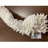 Microfiber Dusting Wand Sleeve by Rubbermaid