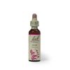バッチフラワー エルム アルコールベース 20ml
