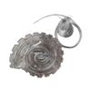 Zolux - Aquarium Snail Trap