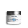 Shea Light Comforting Face Cream - 50ml - L'OCCITANE