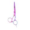 ShearsDirect 5.5 Inch Rainbow Titanium Off Set Professional Shear, 3.5 Ounce