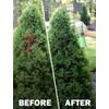 Seymour RENEW Grass and Shrub (Pristine). 1 - 17oz. Can.