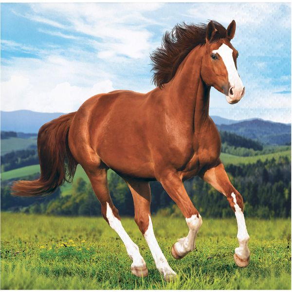 Wild Horse Beverage Napkins, 16 ct