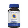Rejuvenation Therapeutics Elderberry - Elderberry Capsules for Immune Support -Elderberry Cold Fighter