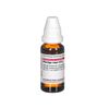 Plantago major D12 DHU Dilution, 20 ml Lösung