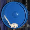 Silent Runner Pro Blue - Durable Pet Exercise Wheel with Stand