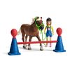 Schleich 42481 Farm World Pony Agility Training