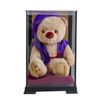 [Petilu] Kishu KUU 3S 18cm Size (Case) Normal