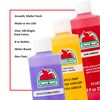 Apple Barrel Acrylic Paint, Turquoise, 8 oz
