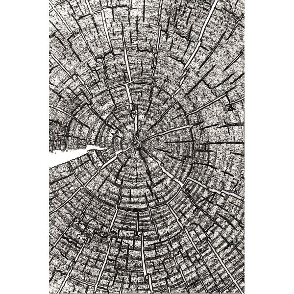 Sizzix 3-D Texture Fades Embossing Folder Tree Rings by Tim Holtz, One Size