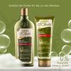 Dalan Hair Care Set - Colour Protection - 400 ml Shampoo & 200 ml Conditioner Set of 2