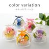 Ruplan Preserved Flower Tart Biket Sweets Set (Baumkuchen) (Peach )