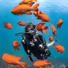 SCUBAPRO Solo Scuba Snorkeling Dive Mask, BK