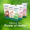 Himalaya Face Wash Gels Walnut Face Wash 150 ml