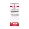 DHU Rhus toxicodendron C4 Streukügelchen, 10 g Globuli