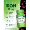 Iron 65 mg | 120 Tablets | Non-GMO Supplement | by Nature's Truth