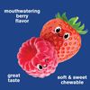 WellYeah Probiotics for Kids Gummies -10 Billion CFU