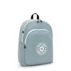 Kipling CURTIS L Large Backpack, Relaxed Grey C (Grey)