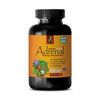 energy boosters for men - ADRENAL SUPPORT - brain supplement 1 BOTTLE