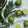 The White Company Lime & Bay Bath & Body Gift Set