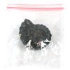 EISCO 4cm Mesozoic Ammonite Fossil Replica, Perisphinctes