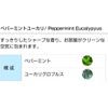 Peppermint Eucalyptus 30ml Aroma Blend Incent Essential Oil 30ml