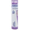 Boiron Ledum Palustre 10M Md 80 Pellets for Insect Bites or bruising