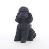 Conversation Concepts Poodle Black W/Sport Cut Tiny One Figurine